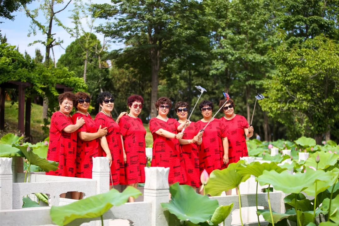 烟台这些地方，荷花已开成海！美出新高度，现在去刚刚好！